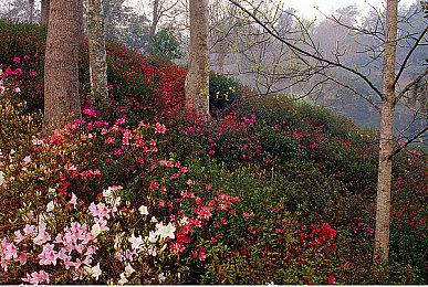 2023 indiePlay中国独立游戏大赛各大奖项结果公布！ 